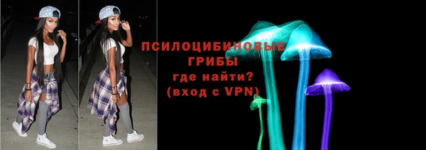 apvp Саяногорск