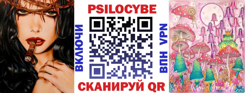 kraken tor Семёнов Галлюциногенные грибы Psilocybe